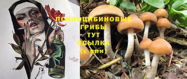 PSILOCYBIN Арсеньев